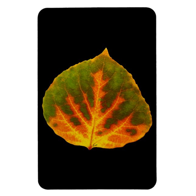 Green Orange & Yellow Aspen Leaf #1 Magnet (Vertical)