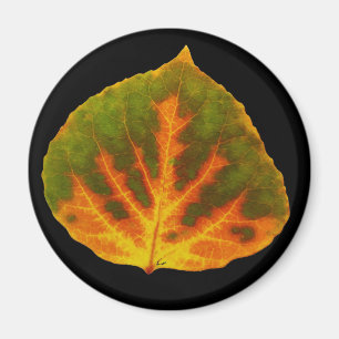 Green Orange & Yellow Aspen Leaf #1 Magnet