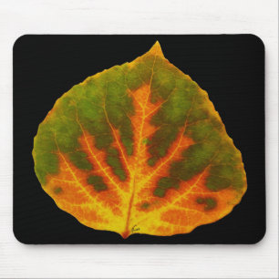 Green Orange & Yellow Aspen Leaf #1 Mouse Pad