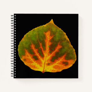Green Orange & Yellow Aspen Leaf #1 Notebook