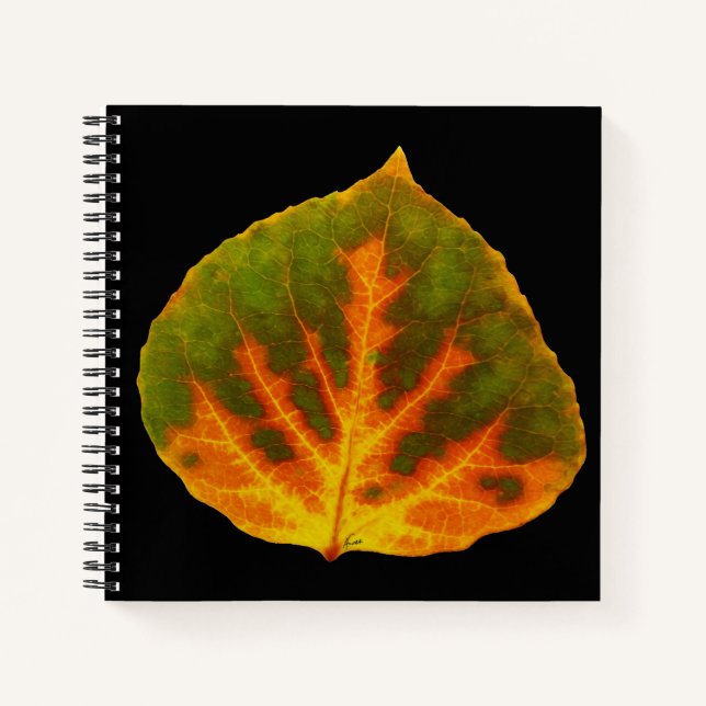 Green Orange & Yellow Aspen Leaf #1 Notebook (Front)