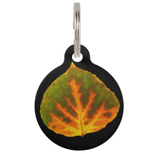 Green Orange & Yellow Aspen Leaf #1 Pet Tag