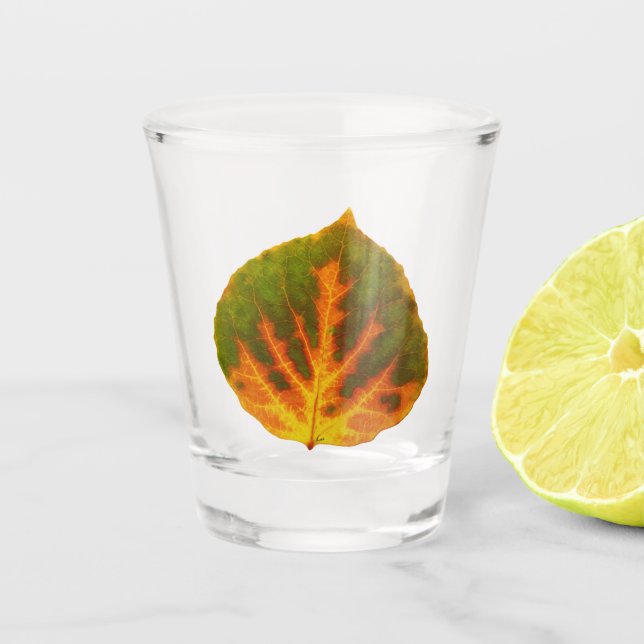 Green Orange & Yellow Aspen Leaf #1 Shot Glass (Front)