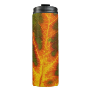 Green Orange & Yellow Aspen Leaf #1 Thermal Tumbler