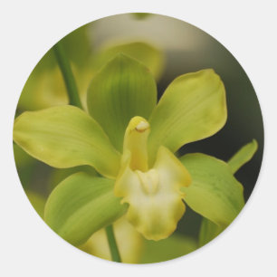 Green Orchid Classic Round Sticker