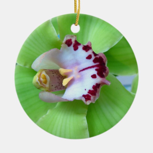 Green Orchid Ornament (Front)