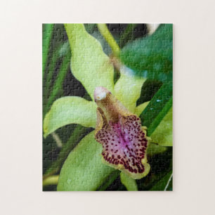Green Orchid Puzzle