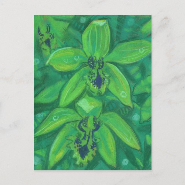 Green Orchid, Tropic Flower Floral Pastel Painting Postcard (Front)