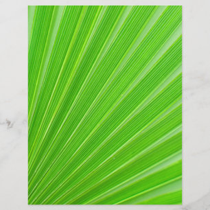 Green palm leaf background flyer