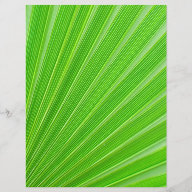 Green palm leaf background flyer (Front)