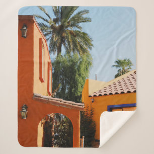 Green palm tree beside brown concrete building in sherpa blanket