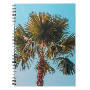 Green palm tree notebook