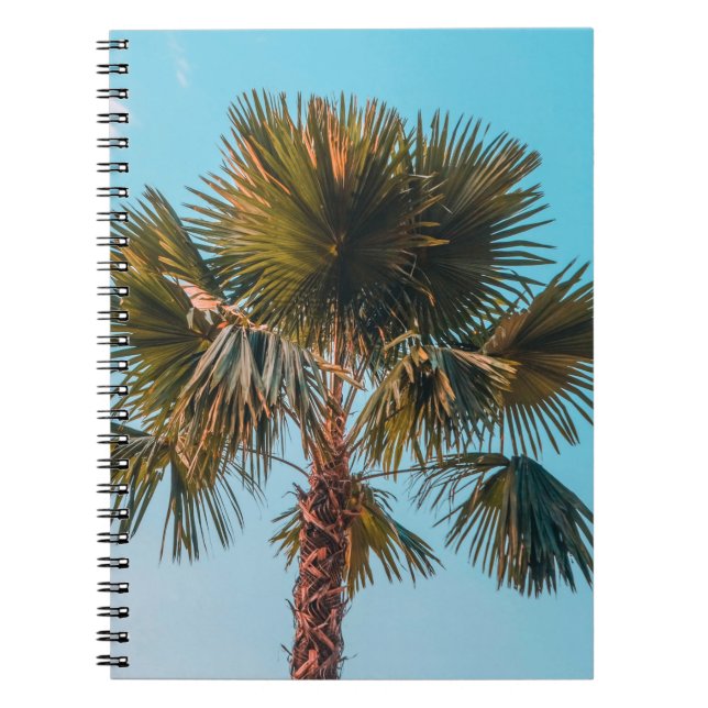 Green palm tree notebook (Front)