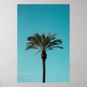 Green palm tree poster