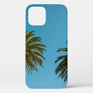Green palm tree under blue sky in the morning iPhone 12 case