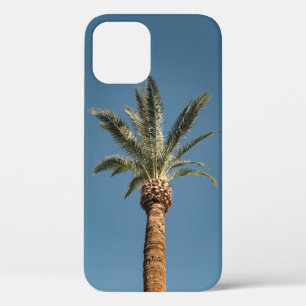 Green palm tree under blue sky in the morning iPhone 12 case