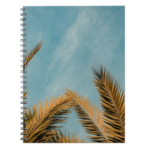 Green palm tree under blue sky in the morning notebook