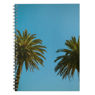 Green palm tree under blue sky in the morning notebook