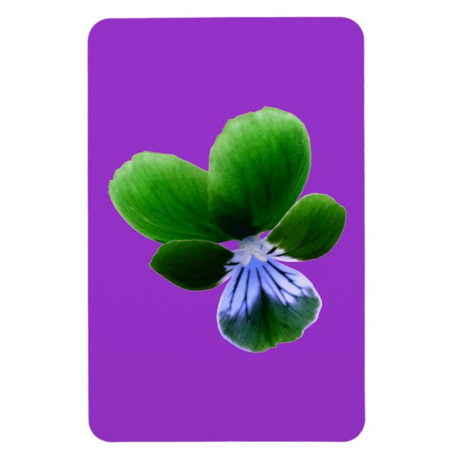 Green Pansy Premium Magnet (Vertical)