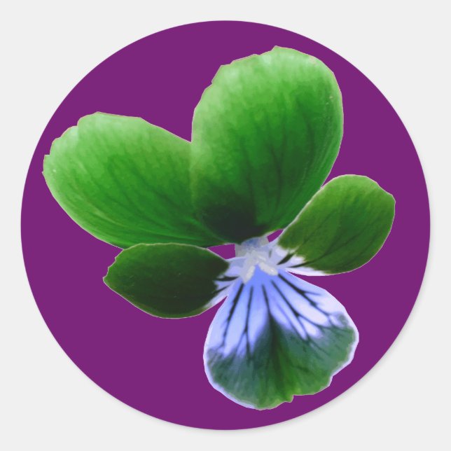 Green Pansy Sticker (Front)