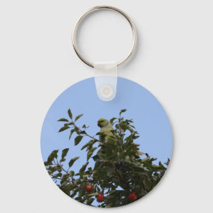 Green Parakeet Key Ring