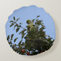 Green Parakeet