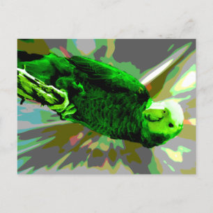 Green Parrot 6537 Postcard