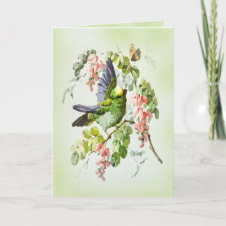 Green Parrot and Pink Acacia Flower Vintage Card