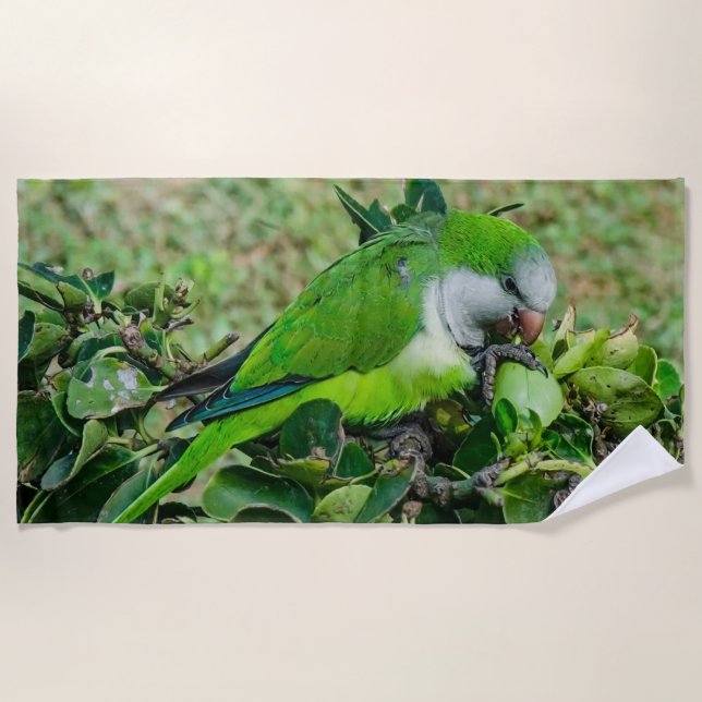 Green parrot beach towel (Front)