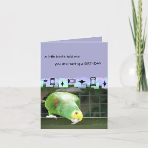 Green Parrot  Birthday Greetings Card