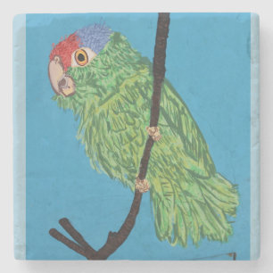 green parrot blue tile stone coaster