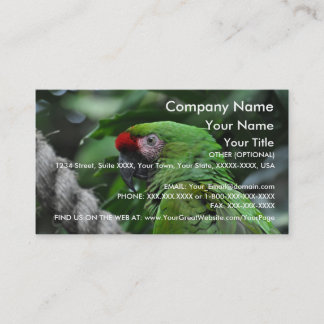 Green Parrot - business card template