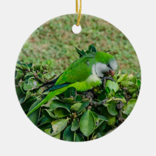 Green parrot ceramic ornament