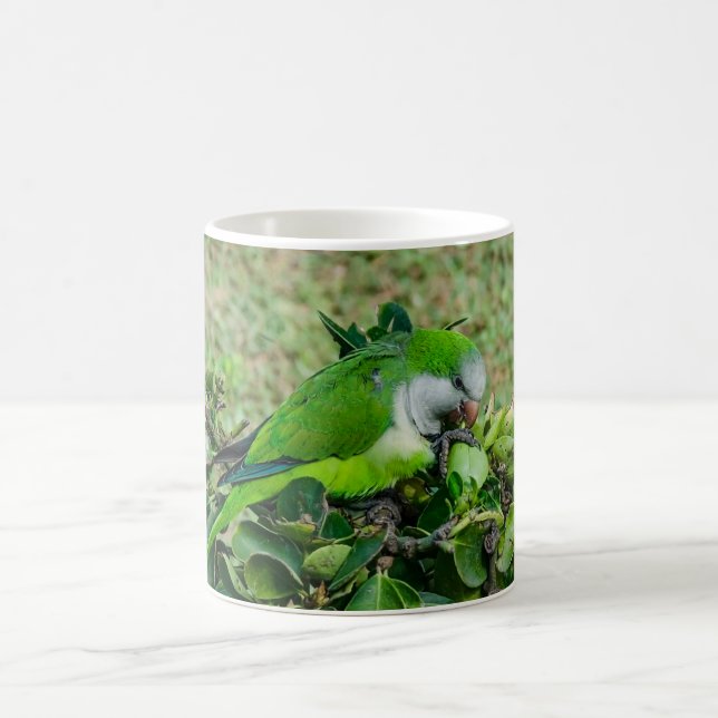 Green parrot coffee mug (Center)