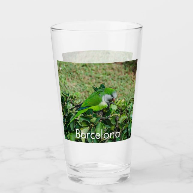 Green parrot glass (Front)