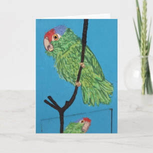 green parrot greeting card