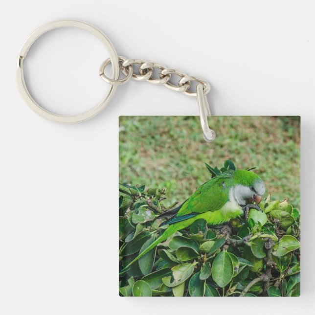 Green parrot key ring (Front)