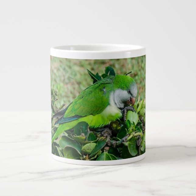 Green parrot large coffee mug (Front)