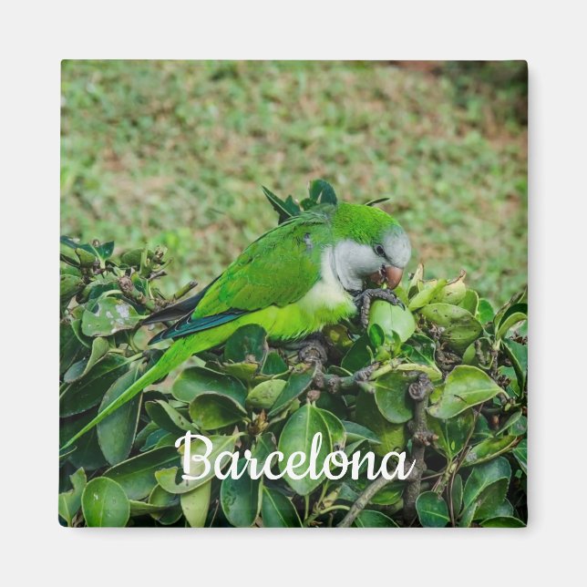 Green parrot magnet (Front)