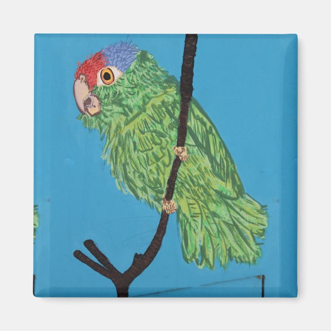 green parrot magnet (Front)