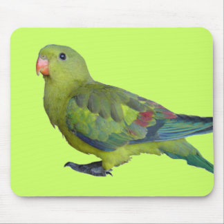 Green Parrot Mouse Pad