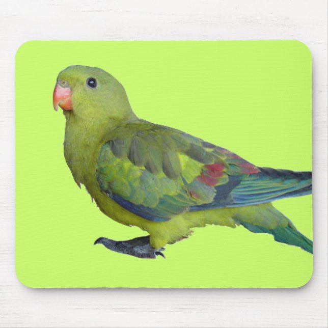 Green Parrot Mouse Pad (Front)