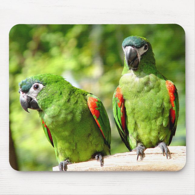 Green Parrot Mousepad 2 (Front)