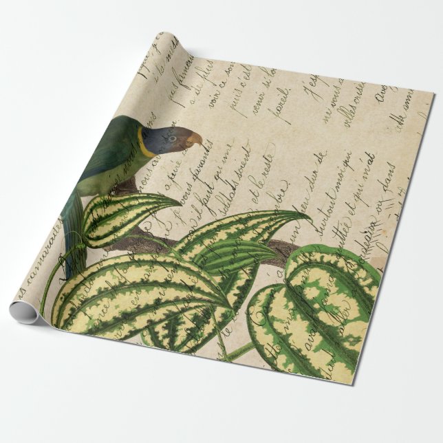 Green Parrot on Branch and Leaves Wrapping Paper (Unrolled)