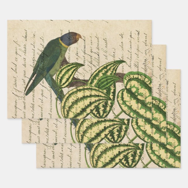 Green Parrot on Branch and Leaves Wrapping Paper Sheet (Set)