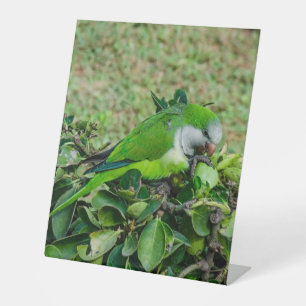Green parrot pedestal sign