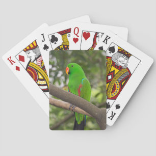 Green Parrot Portrait Playing Cards