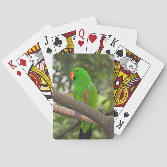 Green Parrot Portrait Playing Cards (Back)