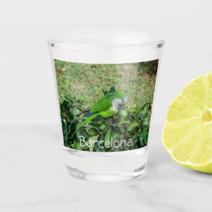 Green parrot shot glass