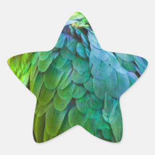 Green Parrot Star Sticker